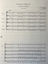 Load image into Gallery viewer, Telemann, G.P. (1681-1767): Complete Horn Concertos (Revised 2nd ed, Scores)
