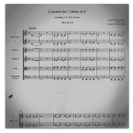 Telemann, G.P. (1681-1767):  Concerto for 2 Horns in F Major, TWV 52:F4