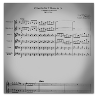 Telemann, G.P (1681-1767): Concerto for 2 Horns in D Major, TWV 52:D1