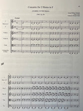 Load image into Gallery viewer, Telemann, G.P. (1681-1767): Complete Horn Concertos (Revised 2nd ed, Scores)
